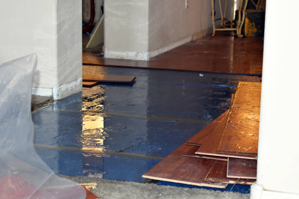 Professional Burst Pipe Cleanup technician working in Evanston, WY